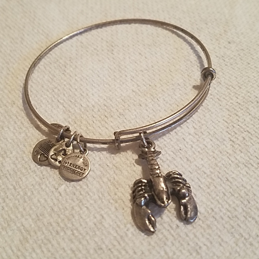 Alex and Ani Silver Bracelet